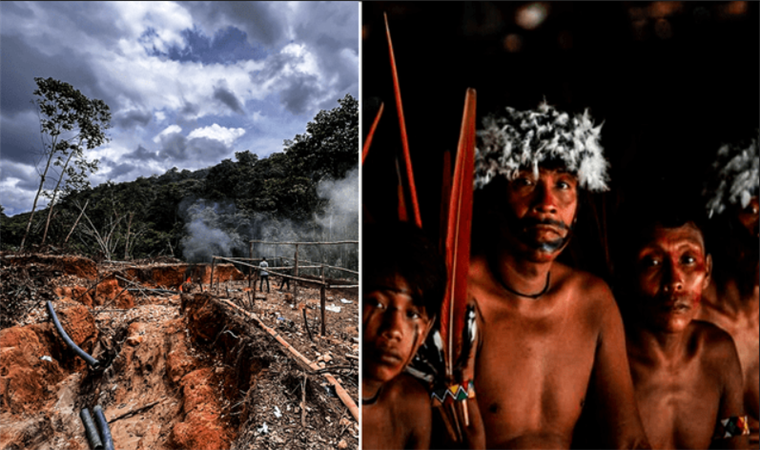 Indigenous Yanomami dies shot by miners in Brazil, according to government