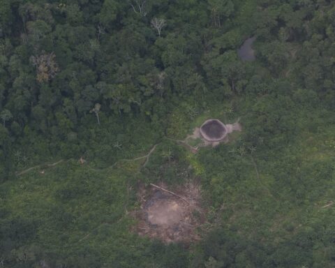 Justice grants freedom to garimpeiros trapped in Yanomami Land