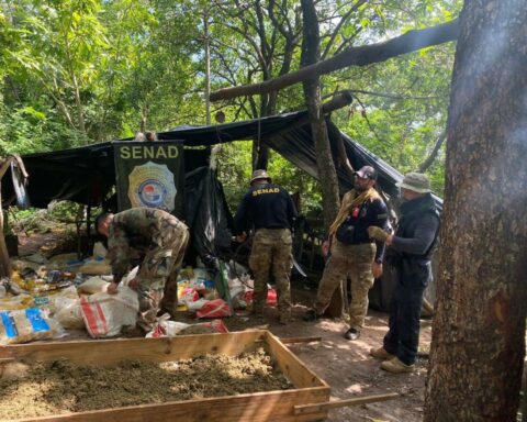 Narco camps with electricity generators: 12 t of marijuana seized