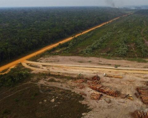 The European Union votes in favor of banning the import of deforested products