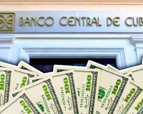 Dólares, dolarización