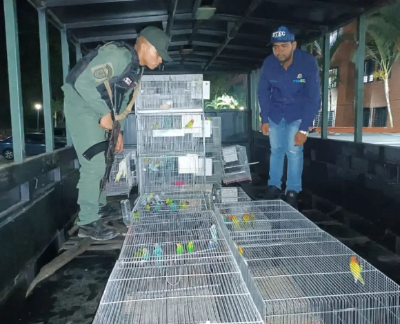 They seized 89 exotic animals in Parque Caiza