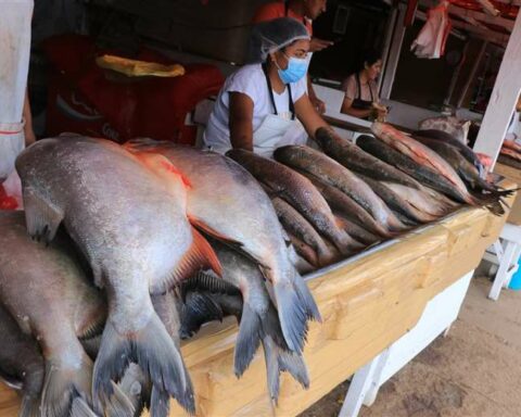 Two towns in Guarayos announce the Fish Fair for Easter