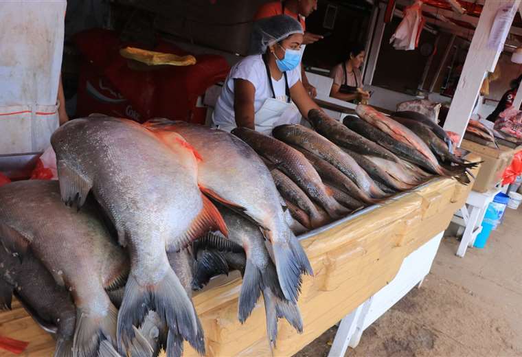 Two towns in Guarayos announce the Fish Fair for Easter