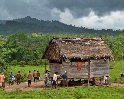 UN condemns the assassination of Mayangna leader Bernabé Palacios