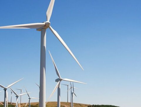 UTE wind farm announced distribution of profits How much will it distribute among its shareholders?