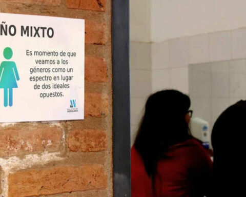 Unisex bathrooms in public and private buildings: they propose mandatory installation