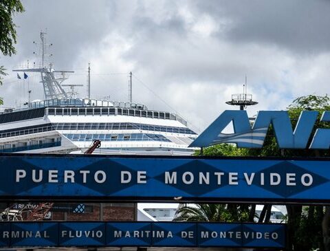 Uruguayan ports mobilized almost 20 million tons in 2022