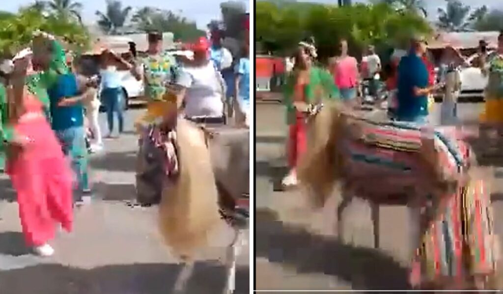 [Video] In the middle of the festival, a woman dressed as Shakira came out with a donkey dressed as 'Clara Chía'