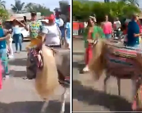 [Video] In the middle of the festival, a woman dressed as Shakira came out with a donkey dressed as 'Clara Chía'