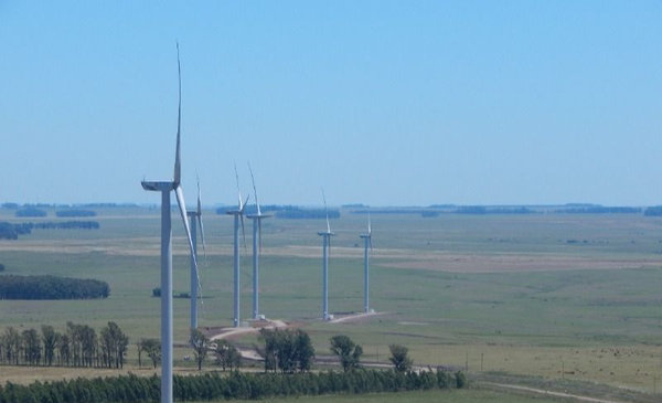 When the wind pays: how the first UTE wind farm that added small investors fared