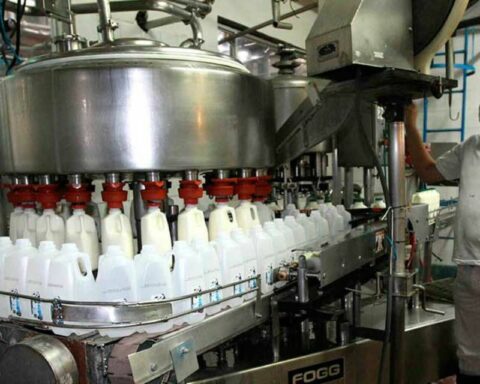 Cavilac: milk consumption fell to 65 liters per person per year