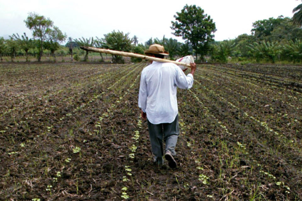 Center for Agri-Food Studies denounces 200 illegal occupations on agricultural land