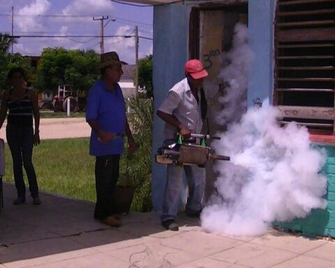 Dengue cases in Santiago de Cuba reach disturbing levels, especially in Palma Soriano