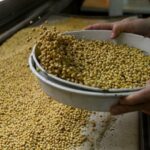 Earned with values ​​under pressure and rebound in grain and wool prices