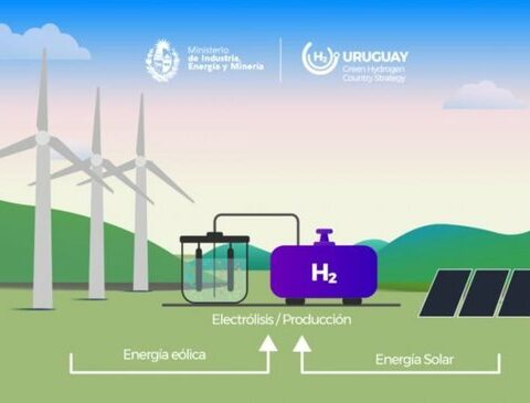 Green hydrogen: it was defined which companies will carry out the first pilot in Uruguay