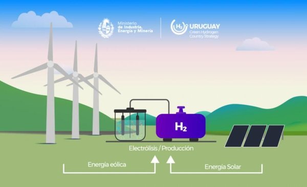 Green hydrogen: it was defined which companies will carry out the first pilot in Uruguay