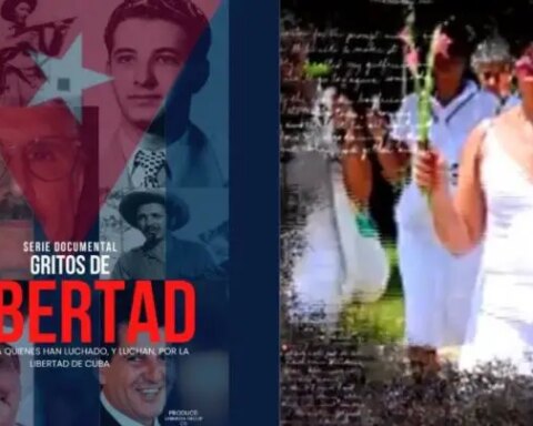 Gritos de Libertad, Cuba, opositores, Miami