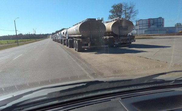 Long lines of tanker trucks at the Conaprole plant