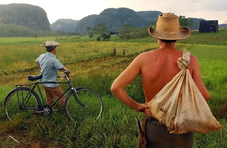 Día del campesino, Cuba, Campesino, tierras