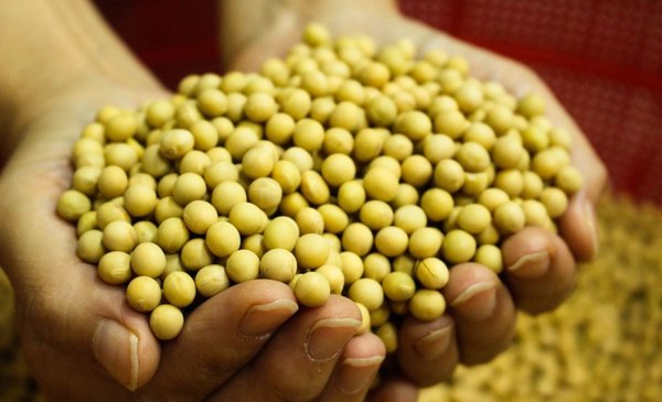 New challenge for the farmer: there will be corn and soybeans left over in the world