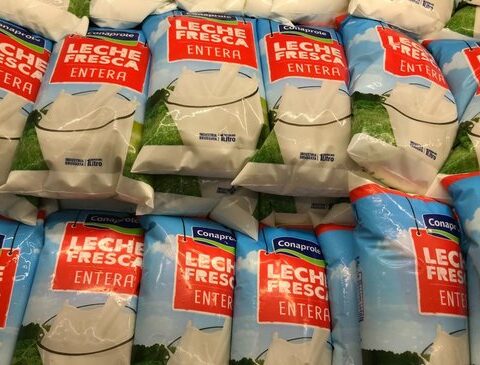 Only fresh milk arrives at hospitals and prisons: if there is no agreement on Thursday there may be a shortage