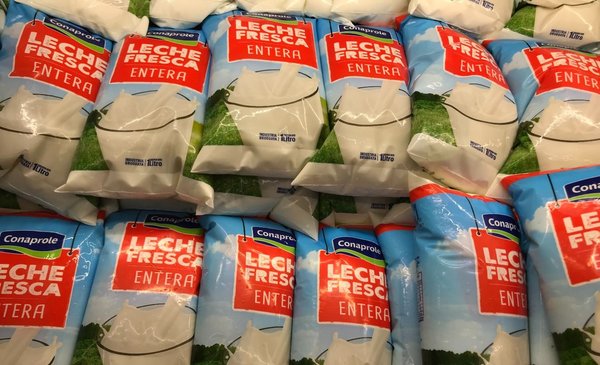 Only fresh milk arrives at hospitals and prisons: if there is no agreement on Thursday there may be a shortage