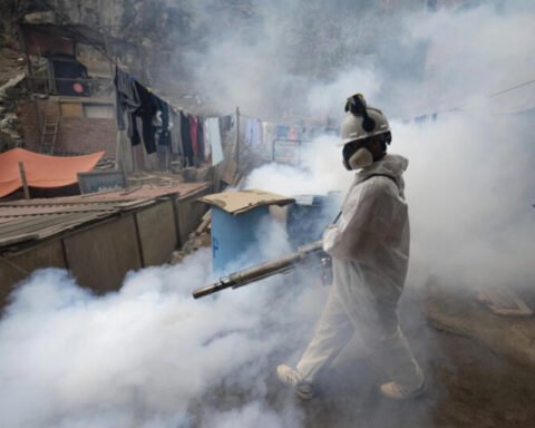 Peru seeks to control dengue that leaves 79 dead and 73 thousand infections