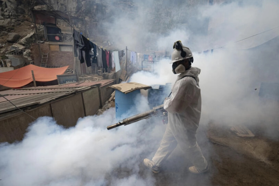 Peru seeks to control dengue that leaves 79 dead and 73 thousand infections