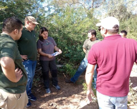 Project to develop sustainable production in Gran Chaco advances