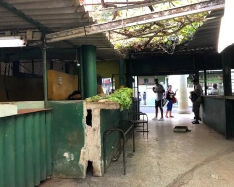 Ley de Soberanía y Seguridad Alimentaria y Nutricional, Cuba