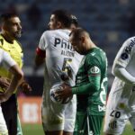 Santos takes the initiative in the 'Vinicius case'