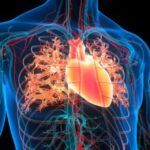 The first transplant with a heart that was “dead” for 20 minutes was achieved in Italy