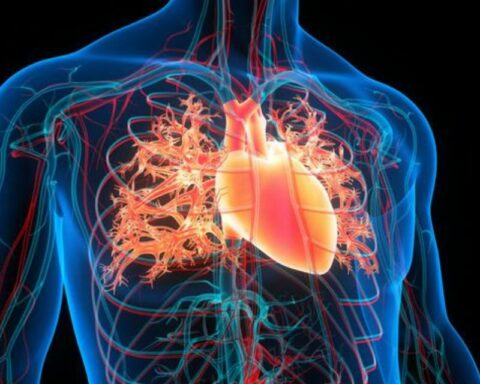 The first transplant with a heart that was “dead” for 20 minutes was achieved in Italy