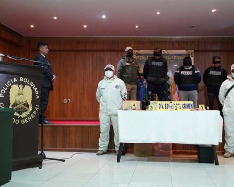 They capture the gang 'Los papis', accused of robbing, stabbing and killing a young man when he was leaving a nightclub