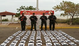 They seized 175 panelas of cocaine abandoned on the beaches of Falcón