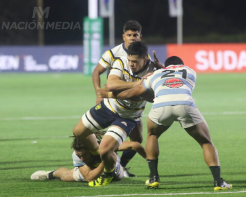 Wild boars remain firm at the top