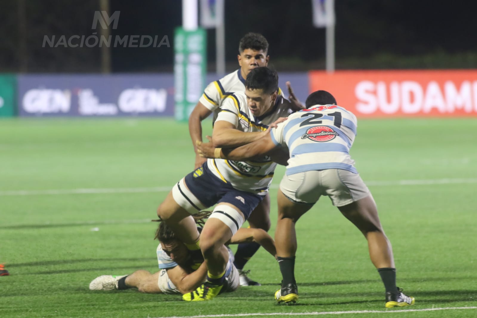 Wild boars remain firm at the top