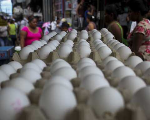 Cheese and eggs continue to rise and threaten to disappear from the Nicaraguan diet