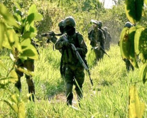 Fundaredes registered 119 homicides in six border states between January and May 2023