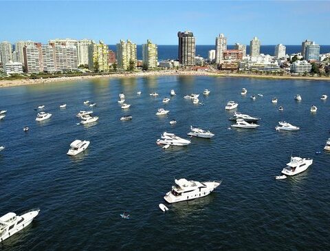 Punta del Este: real estate agents expect the change of government in Argentina to reactivate the sector