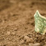 Sleeping with the enemy: agriculture and exchange rate backwardness