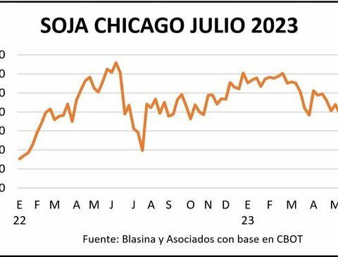 Strong rise in the grain market generates opportunities