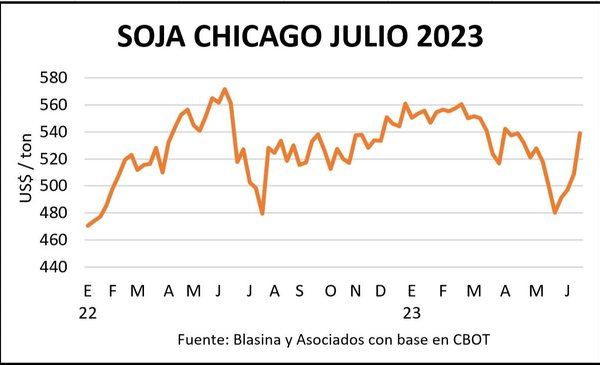 Strong rise in the grain market generates opportunities