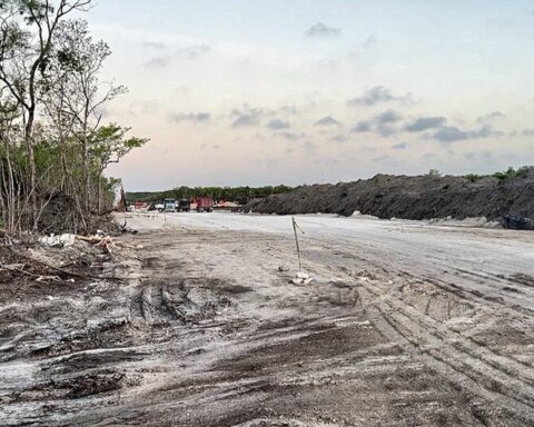 The Government of Mexico insists on disembarking the Cuban stone in a protected coral area