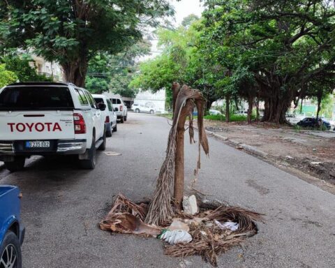 The art of cultivating potholes reaches the Cuban Ministry of Agriculture