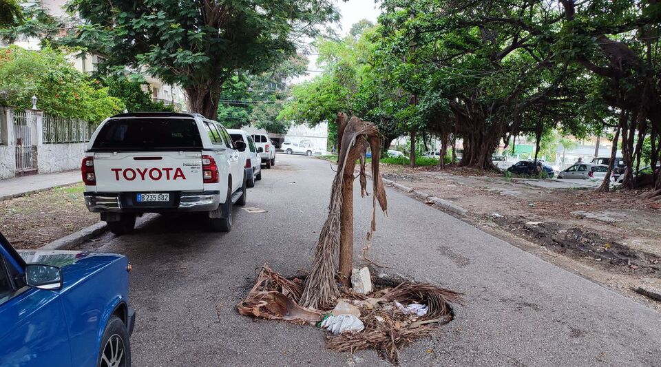 The art of cultivating potholes reaches the Cuban Ministry of Agriculture