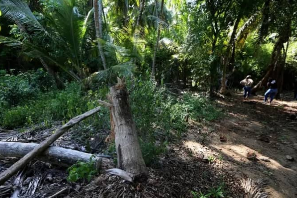 They denounce that MinEcosocialismo authorized the construction of an ecocide highway in Morrocoy