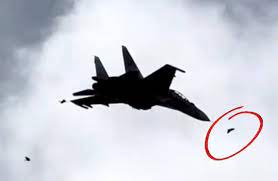 A bird caused the fall of the Sukhoi