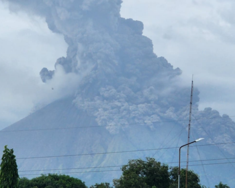 Ashes from the San Cristóbal volcano affect grain, fruit and vegetable crops, say producers